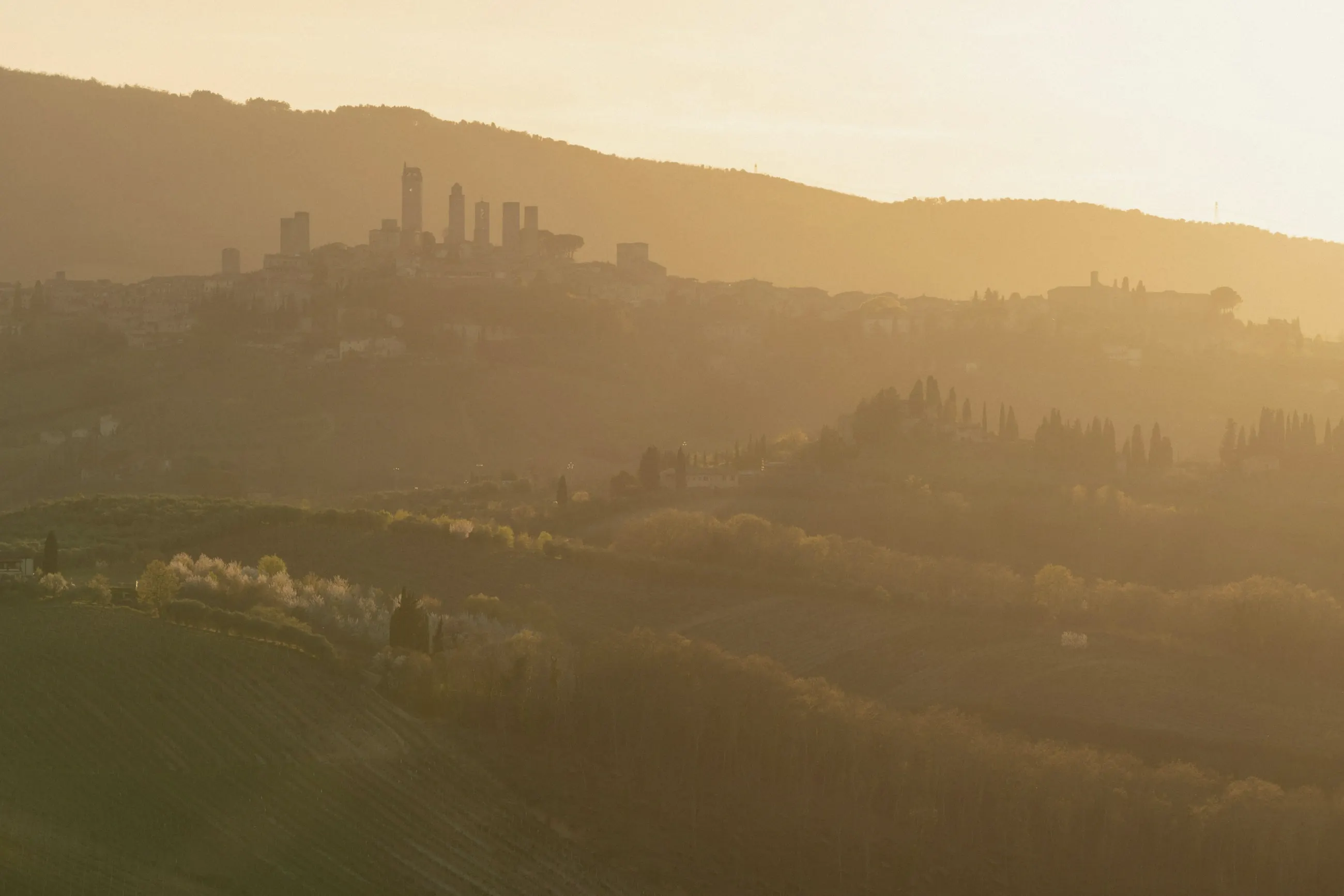 The towers of San Gimignano in hazy golden light above Tuscan hills